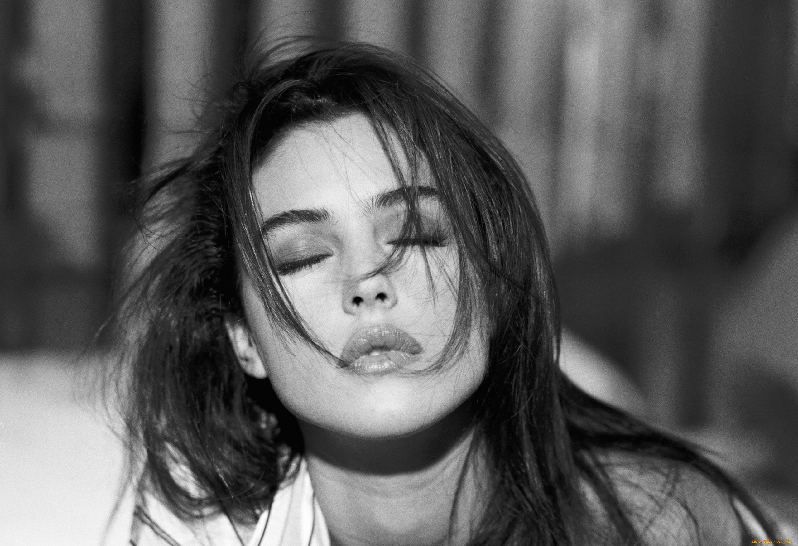 Обои Девушки Monica Bellucci, обои для рабочего стола, фотографии девушки,  monica bellucci, актриса, моника, белуччи, черно-белая, пряди, лицо Обои  для рабочего стола, скачать обои картинки заставки на рабочий стол.